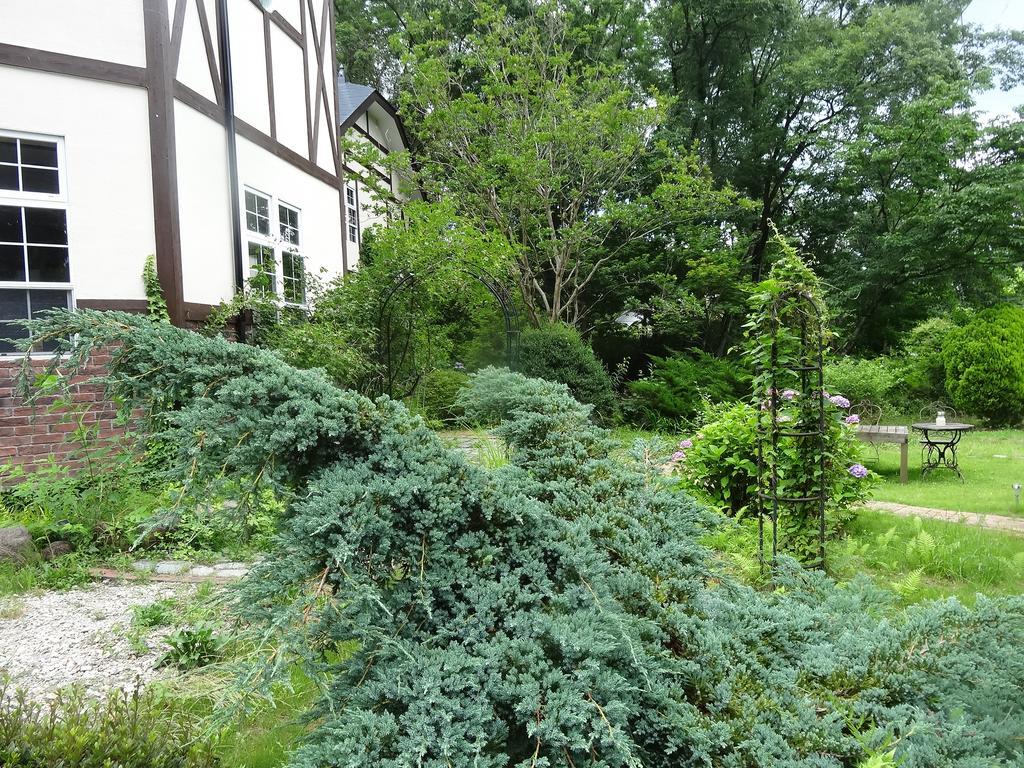 Gasthof Arutany Насу Экстерьер фото