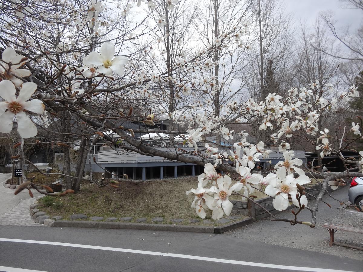 Gasthof Arutany Насу Экстерьер фото